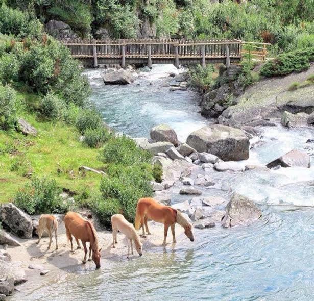 Affittacamere Da Silvia Santa Barbara  المظهر الخارجي الصورة